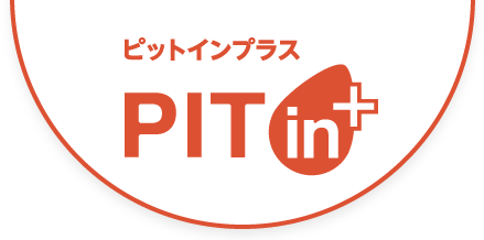 ピットインプラス